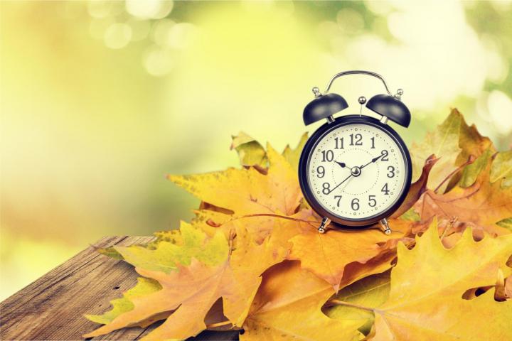 a clock on fall leaves