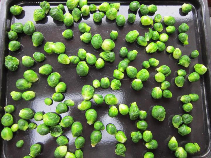 brussel sprouts on a sheet tray prior to freezing them.