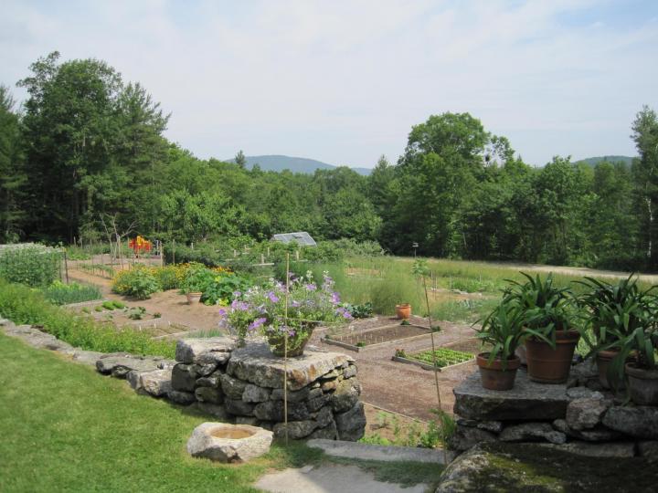 beautiful organic garden