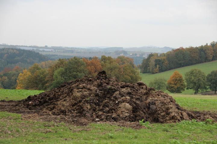a composting manure pile for use in the garden