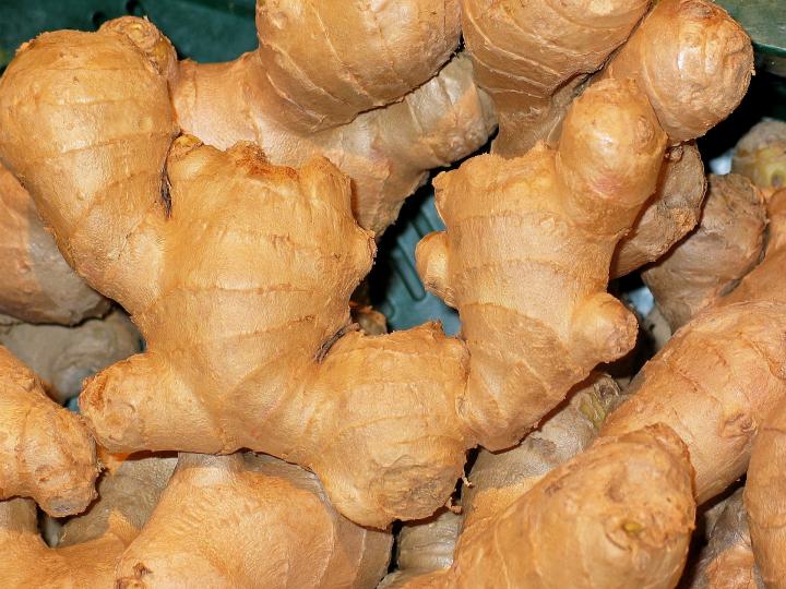 ginger rhizomes