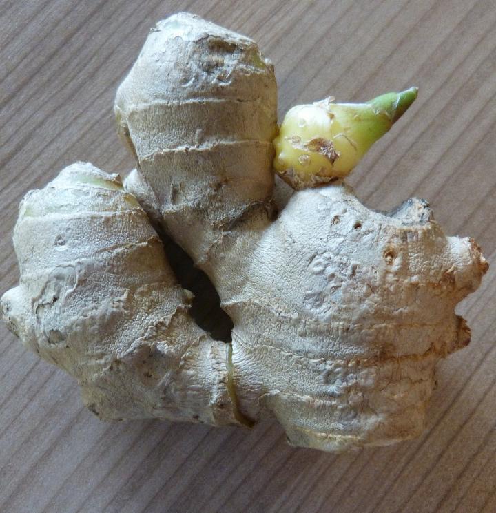ginger root with a bud