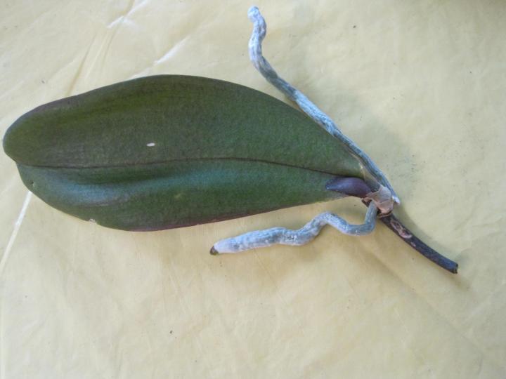 keikis_011_full_width.jpg