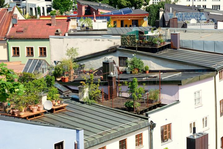 rooftop terrace gardens