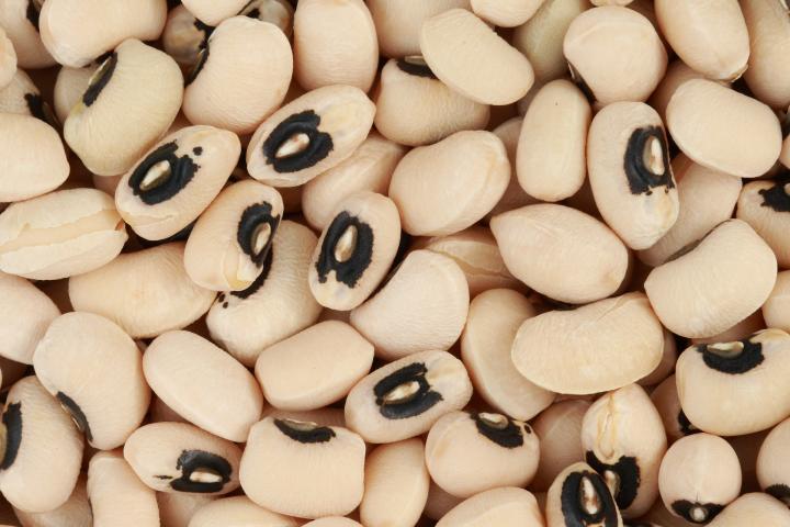 black-eyed peas, the main ingredient in Hoppin' John