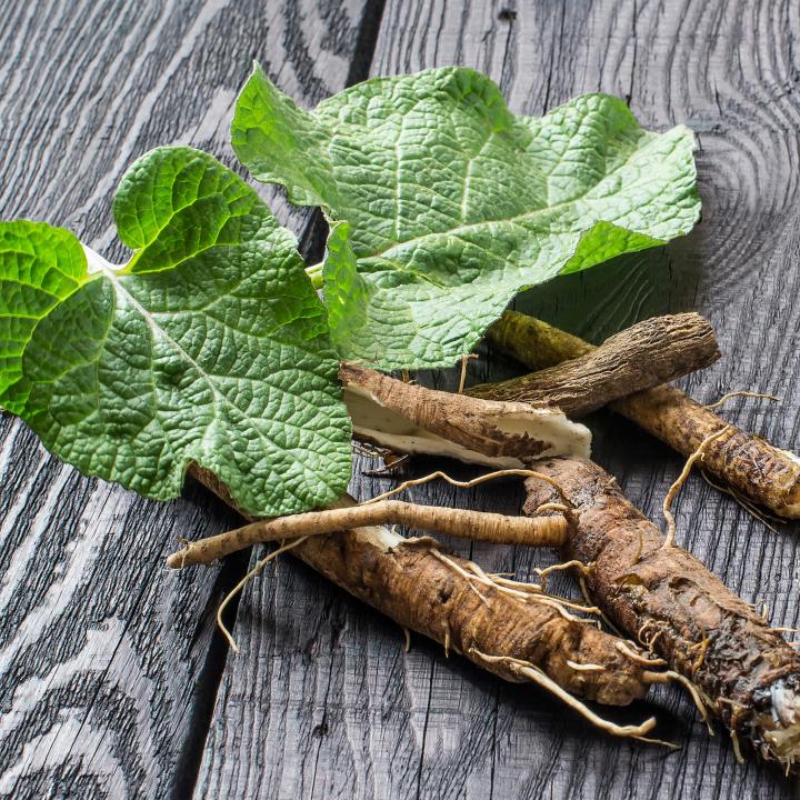 burdock-shutterstock_582415021_0_full_width.jpg