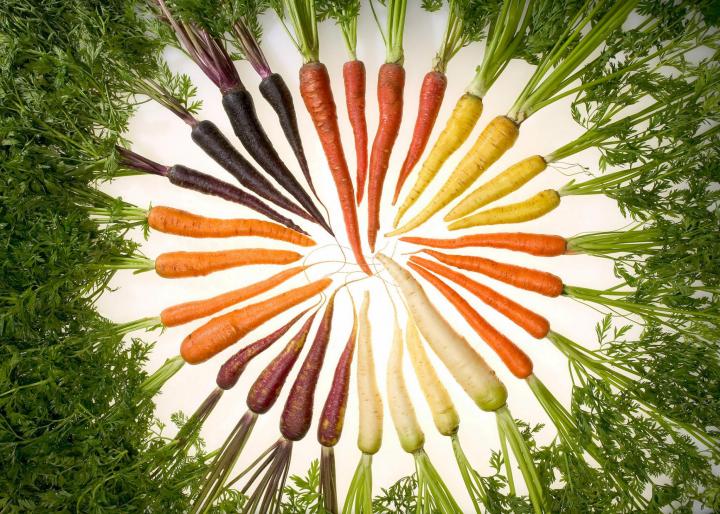 Carrots of many colors arranged in a colorwheel. Photo by USDA/Wikimedia