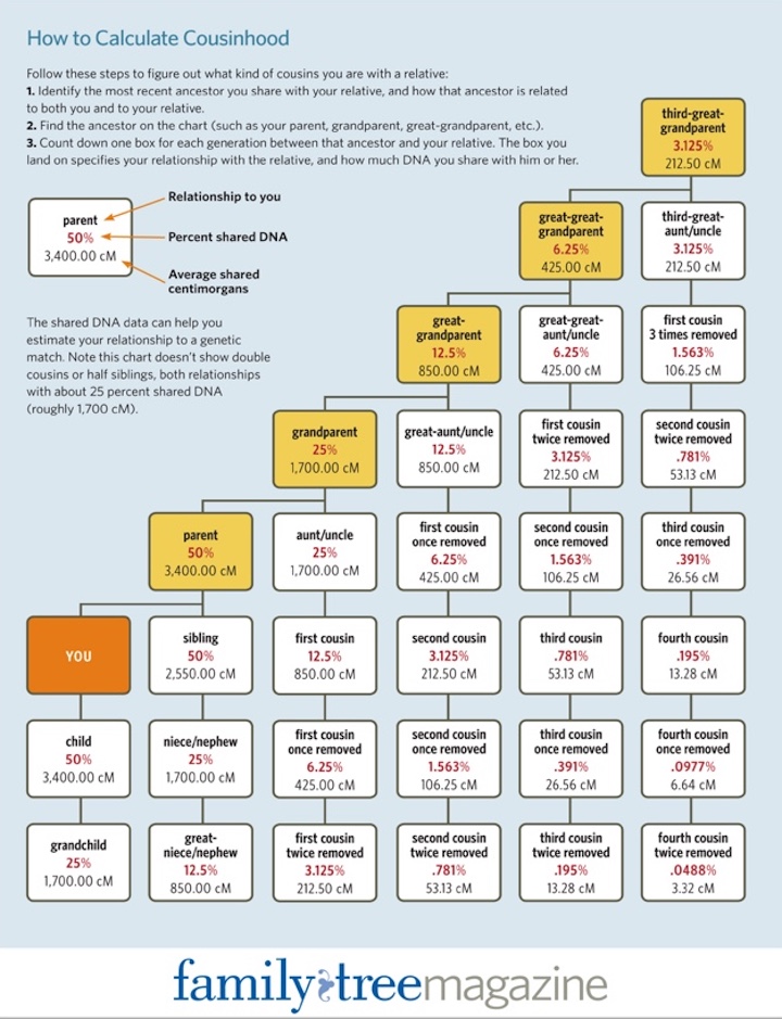 chart-cousins_0.jpg