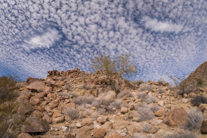 spotted Cirrocumulus Clouds in the desert in a blue sky