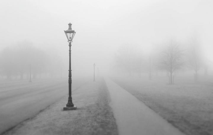 fog-way-768567_1920_full_width.jpg