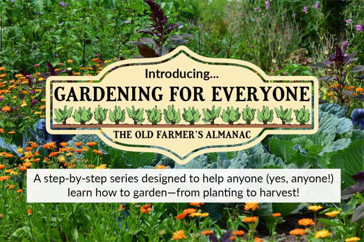 Gardening for Everyone image