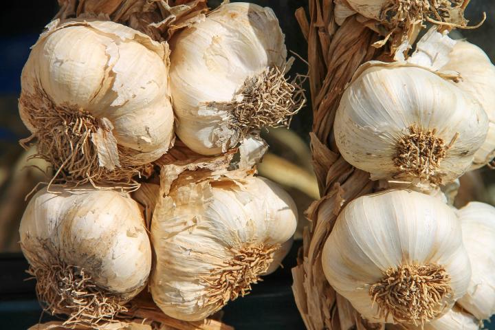 Garlic cloves in a braid