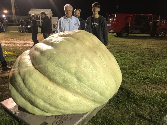 giant-pumpkin.png