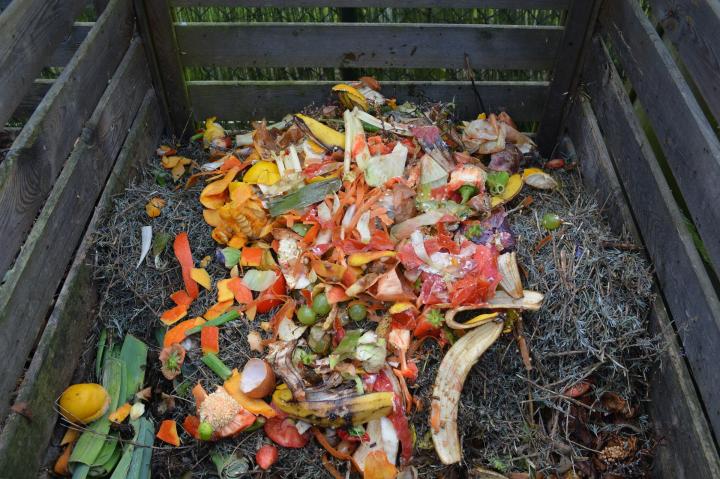 Composting in a pallet compost bin