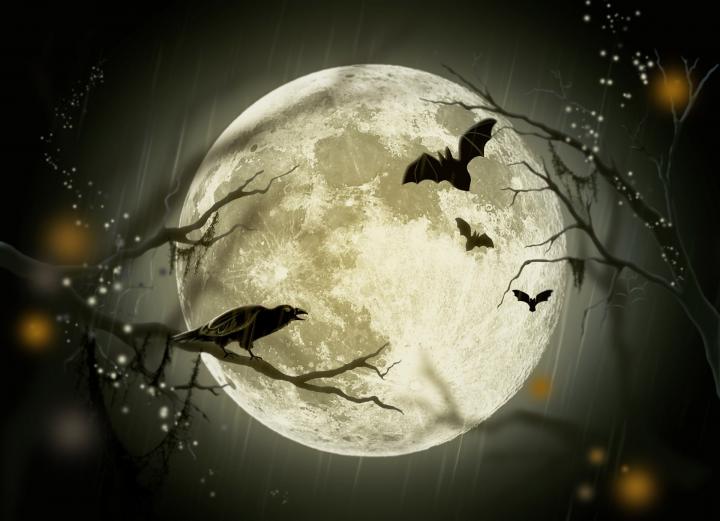 Halloween full moon with bats and crows