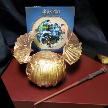 harry potter pumpkin