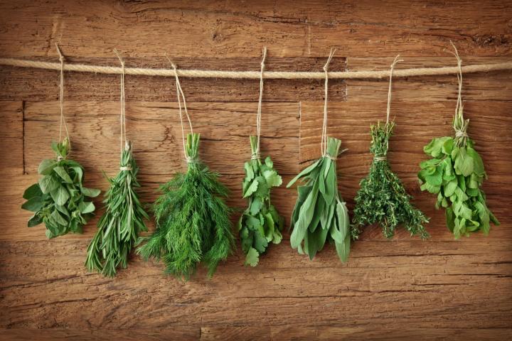 hanging parsley, sage, rosemeary, and other herbs to dry