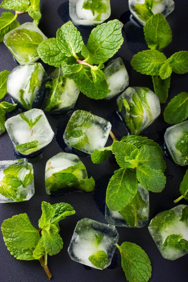 mint frozen in ice cubes