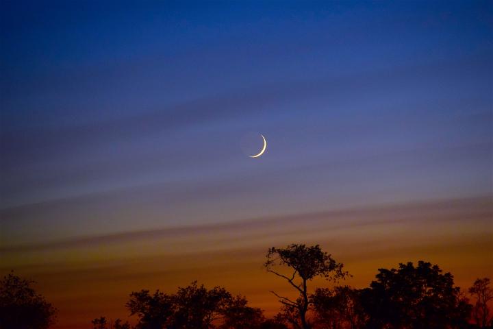 crescent moon in the sky