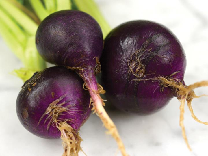 Malaga radish by rareseeds.com. Mature in 35 days. Round roots are a very unusual color—a deep plum purple/violet, so pretty in contrast with the snow-white flesh! 