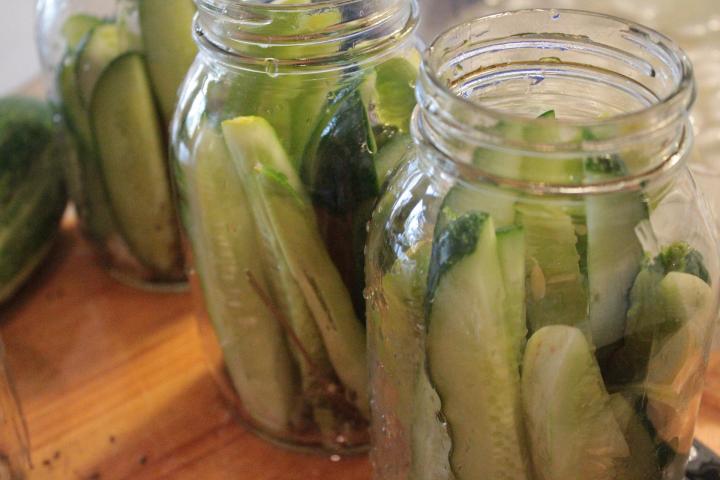 recipe-dill-pickles-recipe.jpg