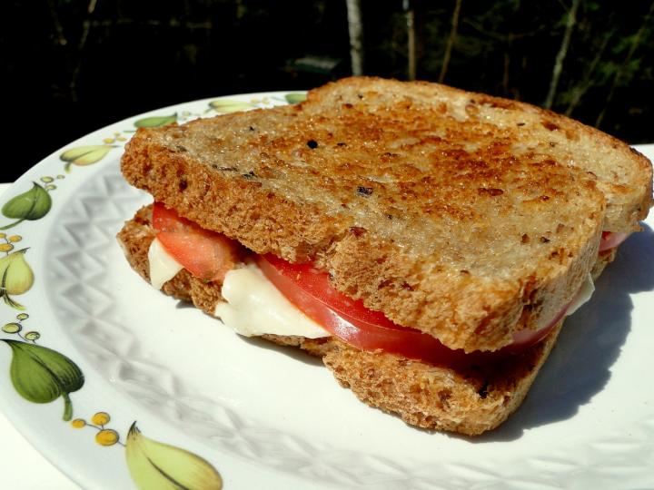 recipe-grilled-cheese-sandwich.jpg