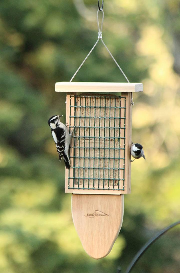a suet bird feeder