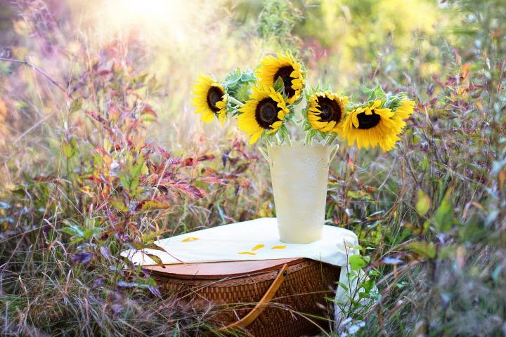 sunflowers-vase-1719119_1920_full_width.jpg