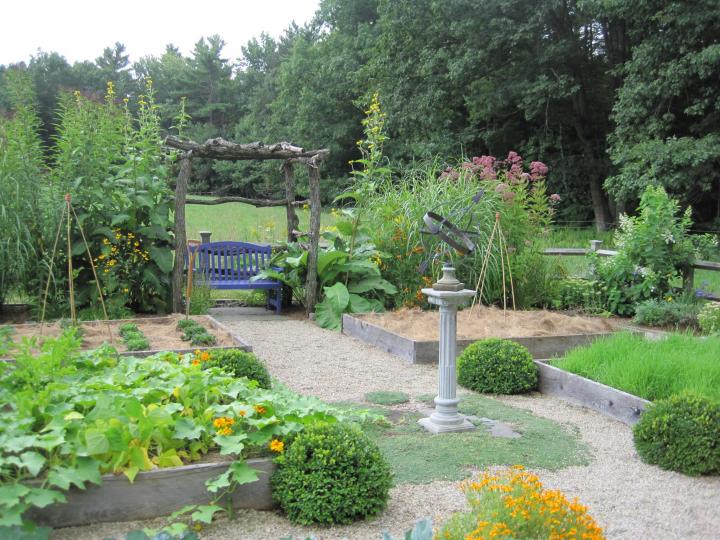 a raised bed gardening space