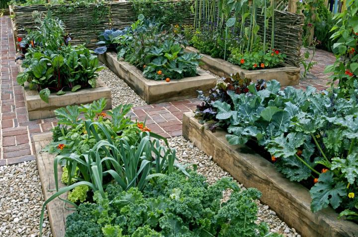 raised garden beds with railroad ties