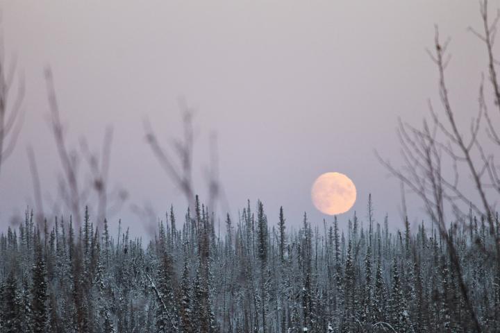 full moon rising in February