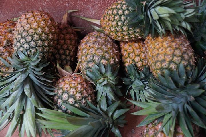 pineapple-785091_1920_full_width.jpg