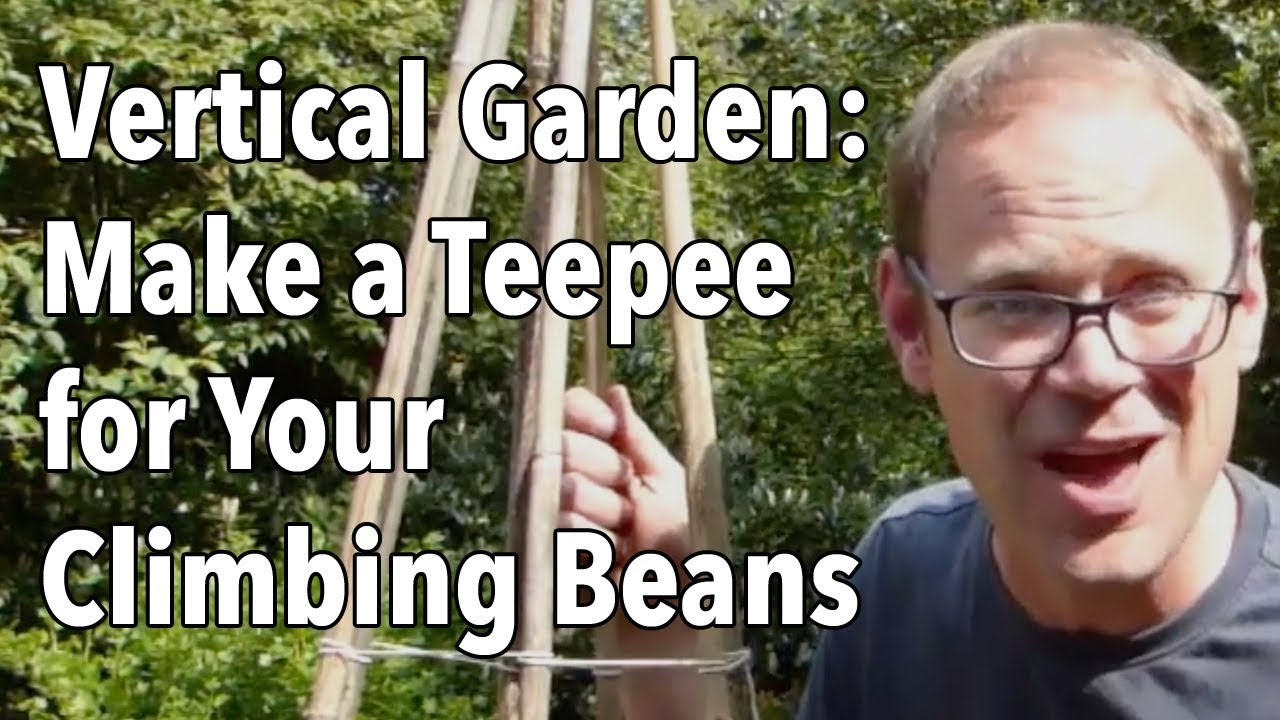 Embedded thumbnail for How Build a Green Bean Teepee and Other Ways to Support Beans