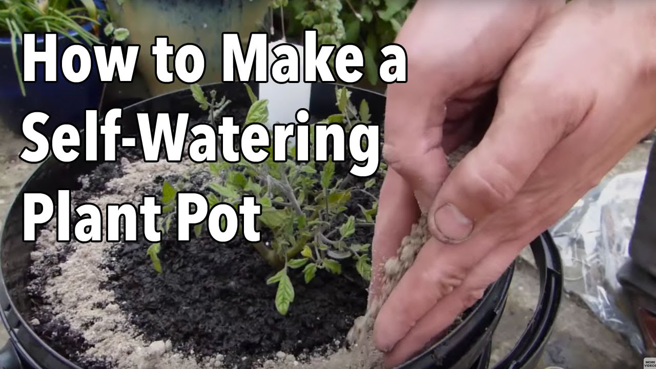 Embedded thumbnail for How to Make a Self-Watering Plant Pot