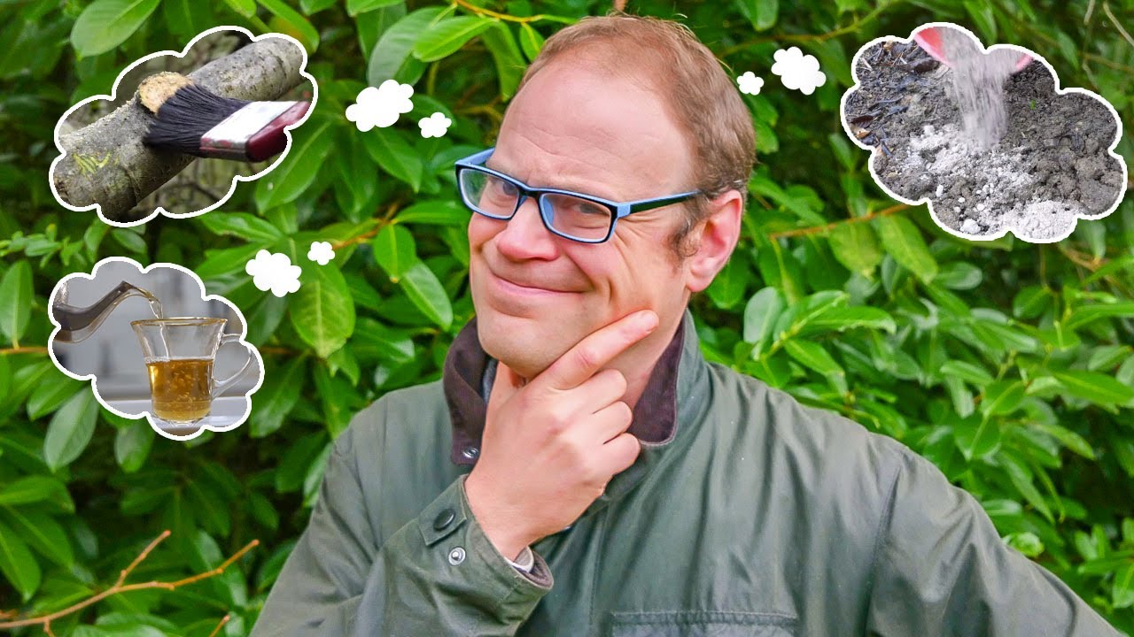 Embedded thumbnail for 10 Common Gardening Myths Busted! 