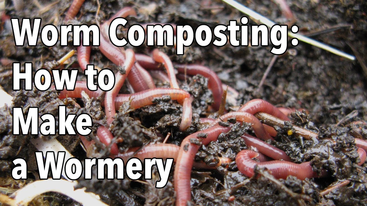 Embedded thumbnail for Worm Composting 101: How to Make a Simple Worm Bin