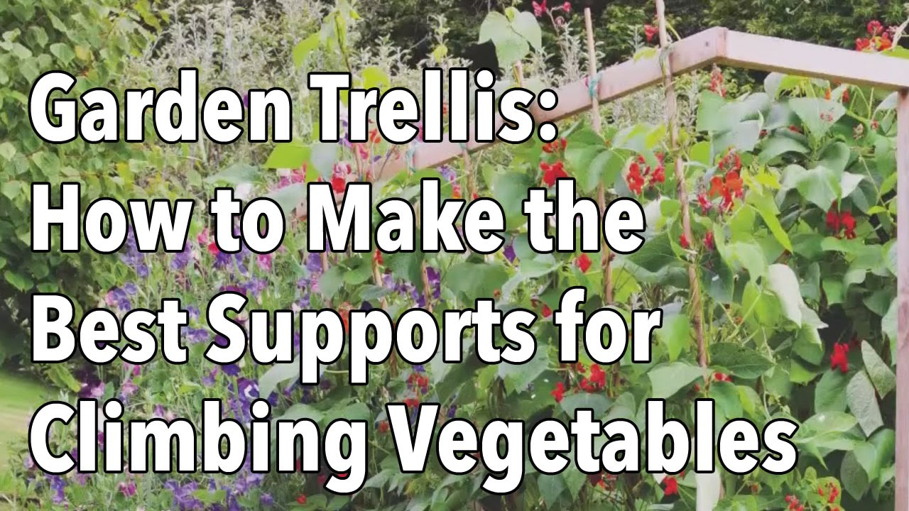 Embedded thumbnail for Building Trellises and Supports for Climbing Vegetables