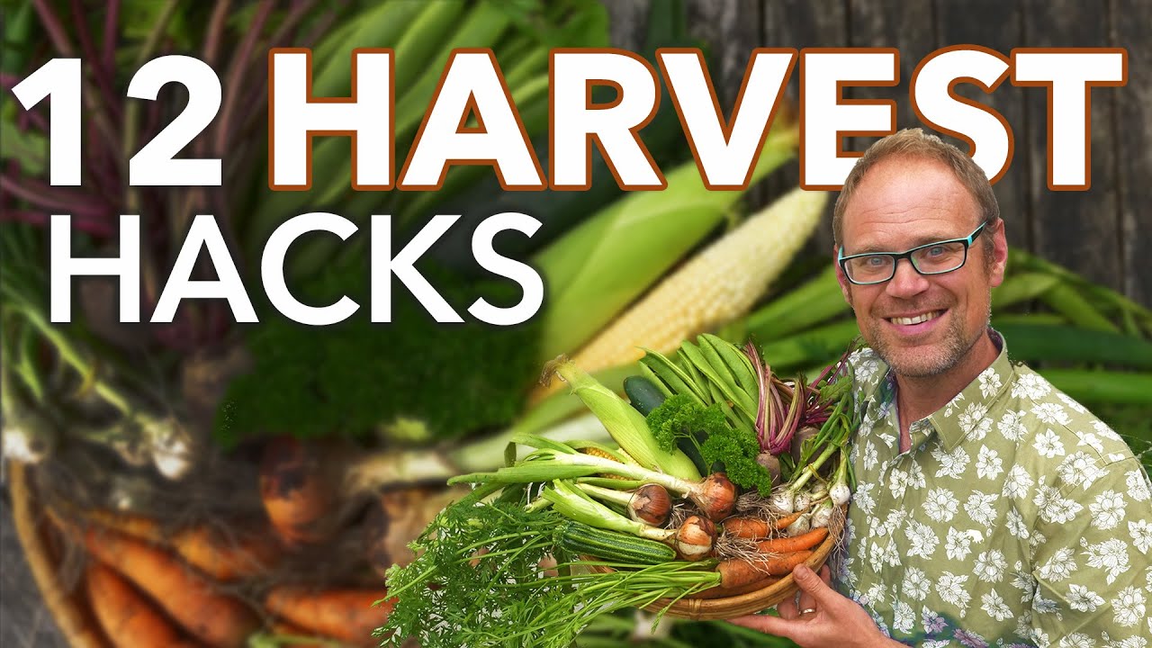 Embedded thumbnail for 12 Helpful Harvesting Hacks and Hints