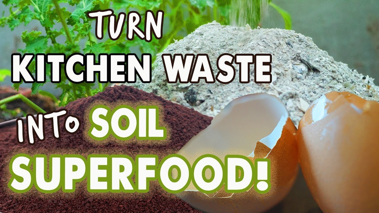 Embedded thumbnail for Are Eggshells, Coffee, and Banana Peels Good for the Garden?