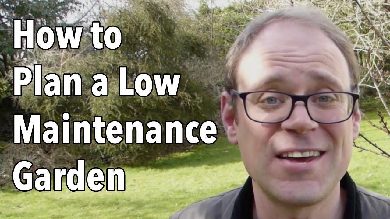 Embedded thumbnail for 10 Low-Maintenance Garden Ideas 